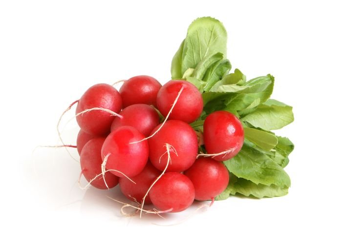 Rabanitos