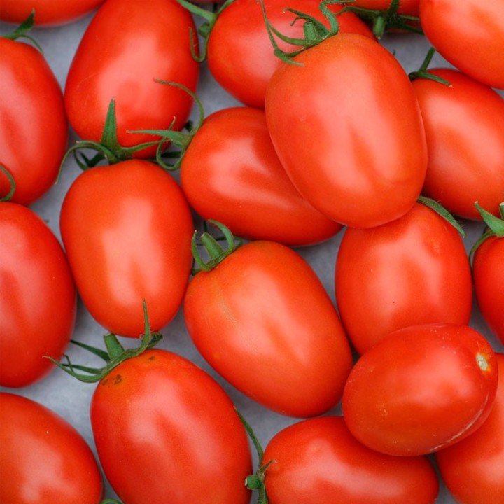 Tomate